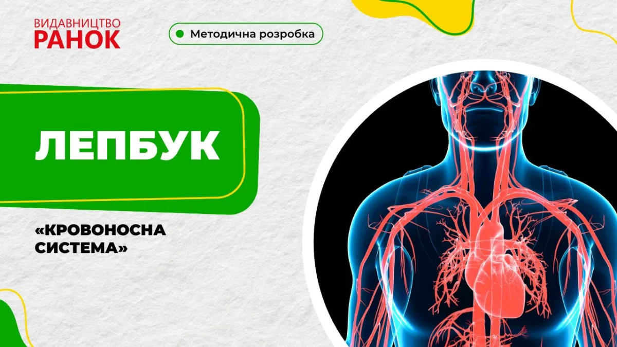 Лепбук «Кровоносна система»