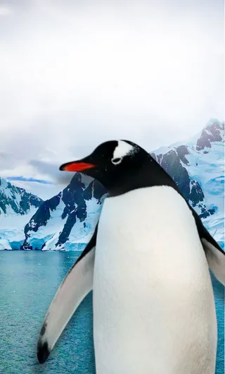 Відкритий урок