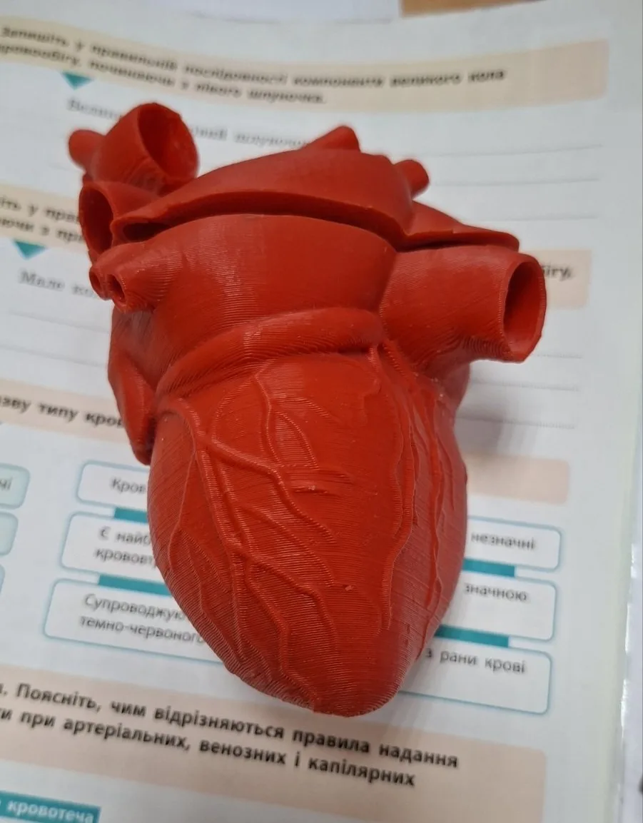 STEАM–проєкти та їхнє значення у вивченні біології