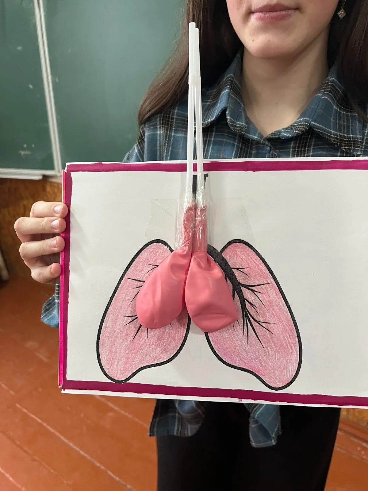 STEАM–проєкти та їхнє значення у вивченні біології